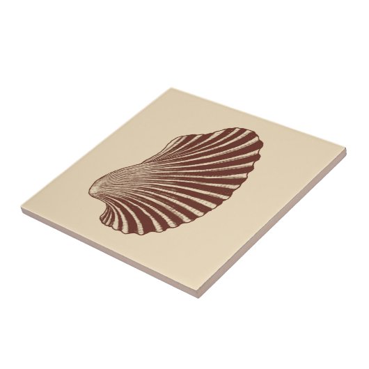 Carreau Écran en coquille de St Jacques Impression, en cér (Côté)