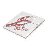 Carreau Écrepoisson (Côté)