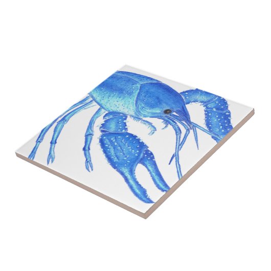 Carreau Écrevisses bleues (Côté)