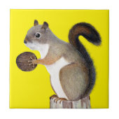 Carreau Écureuil (Devant)