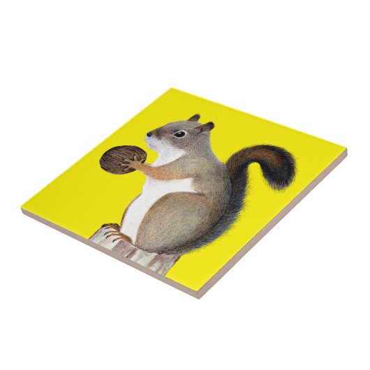 Carreau Écureuil (Côté)