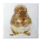 Carreau Écureuil avec maïs (Devant)
