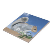 Carreau Écureuil dans la campagne Carrelage en céramique (Côté)