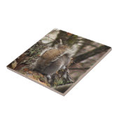 Carreau Écureuil dans l'arbre Photo (Côté)