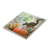 Carreau Écureuil de récolte d'automne (Côté)