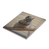 Carreau Écureuil mûr à la branche (Côté)