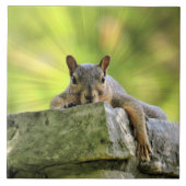 Carreau Écureuil relaxant (Devant)