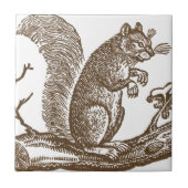 Carreau Écureuil vintage (Devant)