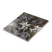 Carreau Edelweiss alpin (Côté)