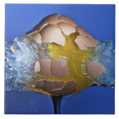 Carreau Eggceptional (Devant)