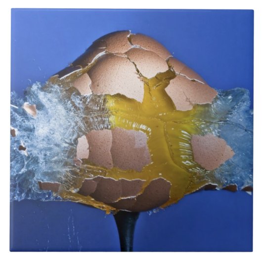 Carreau Eggceptional (Devant)