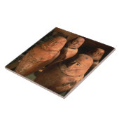 Carreau Egypte, 26e dynastie Jarres de Canopic trouvées à (Côté)