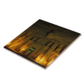 Carreau Egypte, Abu Simbel, Façade éclairée de Small (Côté)