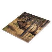 Carreau élan, Cervus elaphus, taureau claironne dans un br (Côté)