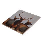 Carreau Élans et vaches d'E66 Taureau (Côté)