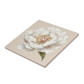 Carreau Elégant ivoire blanc peony (Côté)