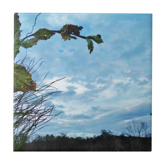 Carreau Élégant Noël Holly, ciel bleu (Devant)