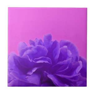 Carreau Elegant Purple Raspberry Floral