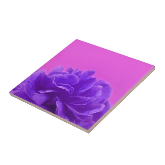 Carreau Elegant Purple Raspberry Floral (Côté)