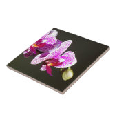 Carreau Élégant rose fleurs tropicales orchidées (Côté)