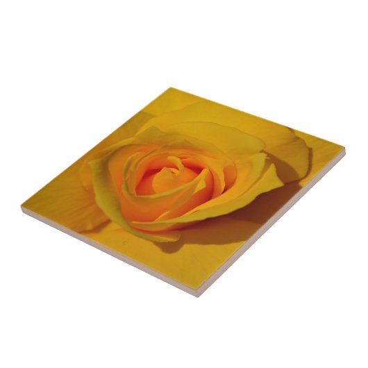 Carreau Élégant rose jaune orange classique (Côté)