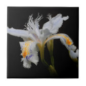 Carreau Elégant Shaga Floral Crested Japonais Iris (Devant)