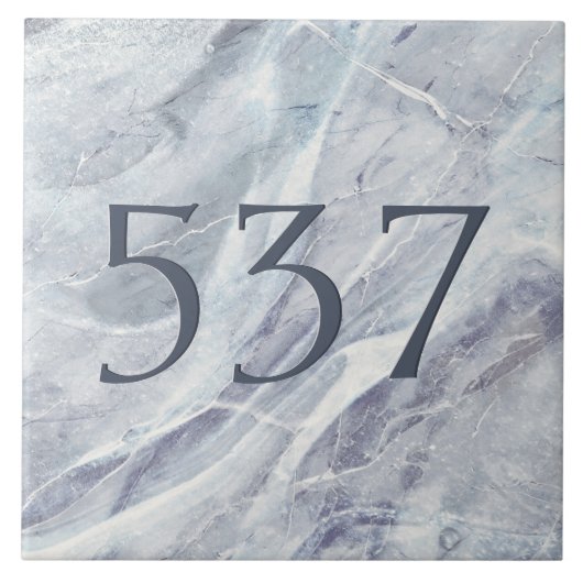 Carreau Élégant Simple Classy Marble House Numéro Plaque (Devant)