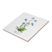 Carreau Élégant Vintage Botanique Oubliez-moi pas Fleur (Côté)