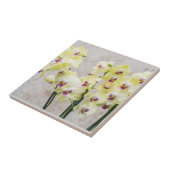 Carreau Elégante Crème Romantique & Orchidées Lilac (Côté)