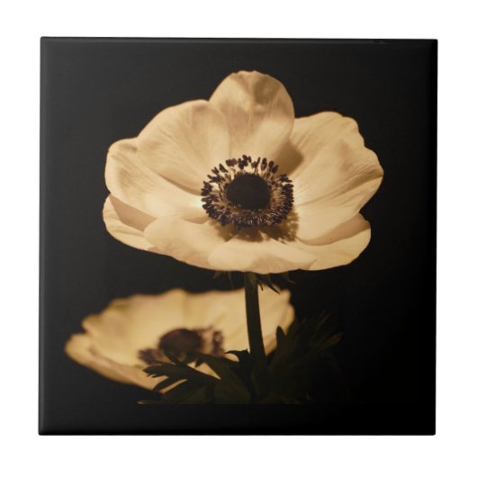 Carreau Élégante Fleur d'anémone Noir (Devant)