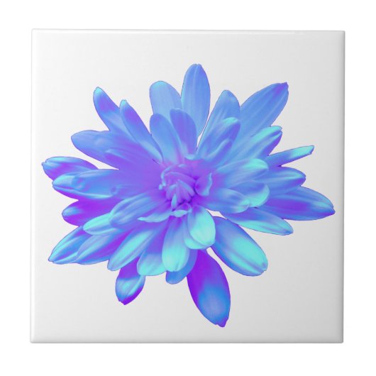 Carreau Élégante fleur florale violette bleu (Devant)