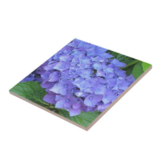 Carreau Élégante Hydrangée violette (Côté)