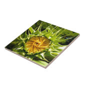 Carreau Elégante photo de tournesol jaune (Côté)