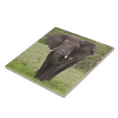 Carreau Élémentaire Tanzanie Éléphant dans le cratère de N (Côté)
