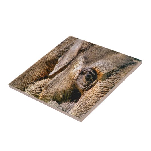 CARREAU ÉLÉPHANT (Côté)