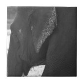 Carreau Éléphant (Devant)