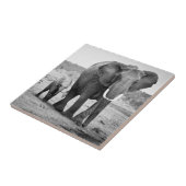 Carreau Éléphant africain et veaux | Kenya, Afrique (Côté)