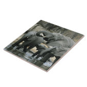 Carreau Eléphant africain, (Loxodonta africana), boire (Côté)