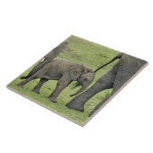 Carreau Éléphant d'Afrique femelle avec bébé (Côté)