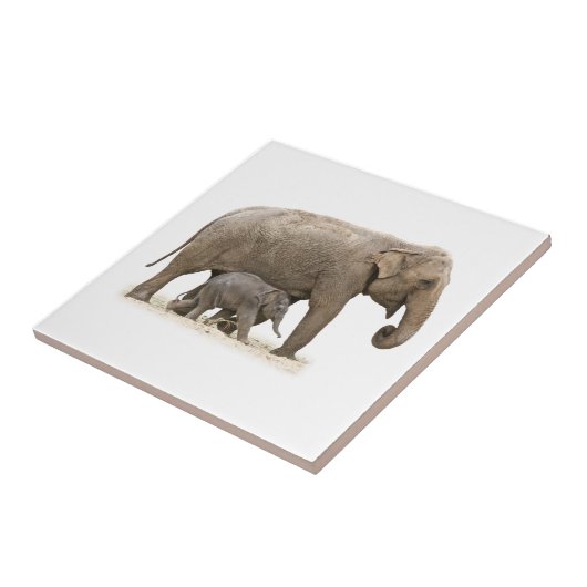 Carreau Eléphant mère et bébé (Côté)