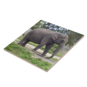 Carreau Éléphant sur le chemin paisible de la prairie