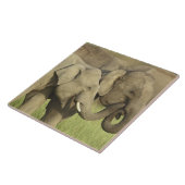 Carreau Éléphants asiatiques indiens (Côté)