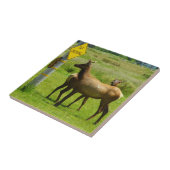 Carreau Elk Crossing California Wildlife Photography (Côté)