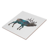 CARREAU ELK PARLER CANYONS, NOUVEAU MEXIQUE (Côté)