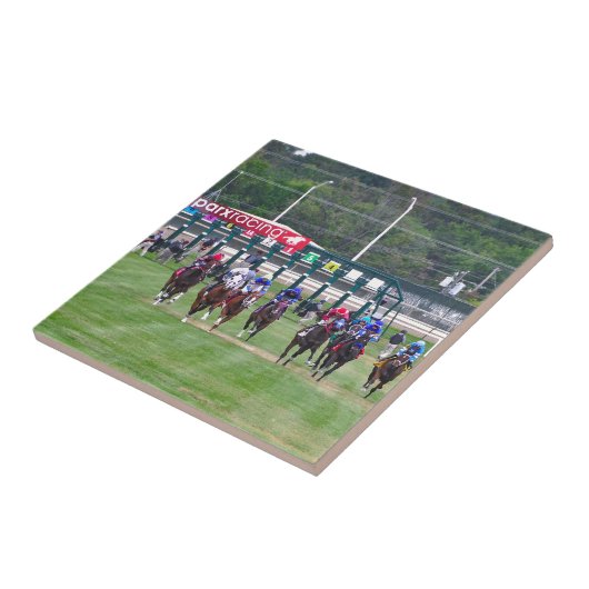 Carreau Emballage de Parx (Côté)