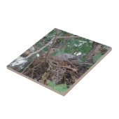 Carreau Emboîtement de colombe de matin (Côté)