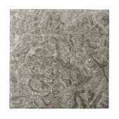 Carreau Embrun (Devant)