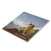 CARREAU EMD DU SENTIER (Côté)