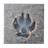 CARREAU EMPREINTE DANS LE SABLE (Devant)