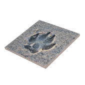 CARREAU EMPREINTE DANS LE SABLE (Côté)